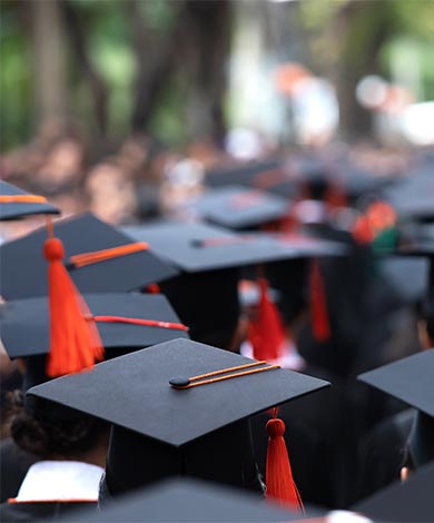 Master of Arts in Economics