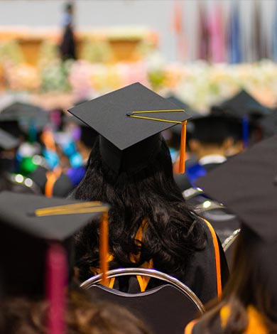 Master of Science in Economics